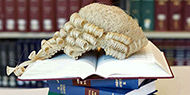 An Introduction to Judicial Review